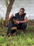 Fadil Bolenge - Domaine de Passion Rottweiler